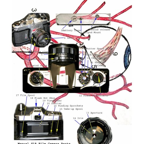 Fashion Camera Eye Photography tshirt shirt