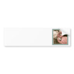 Fashionable Flamingo Bumper Stickers
