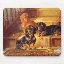 Fashionable Refinities Mouse Pads