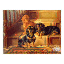 Fashionable Refinities Post Card
