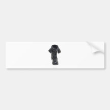 FashionEssentials072509 Bumper Sticker
