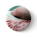 Fast Asleep buttons by CyrScenes Fast Asleep buttons