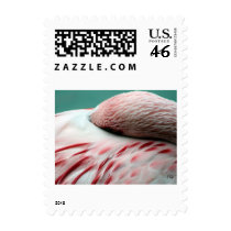 Fast Asleep Postage