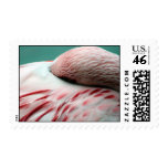 Fast Asleep Stamp