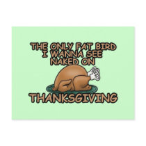 Fat bird thanksgiving postcards