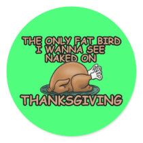 Fat bird thanksgiving stickers