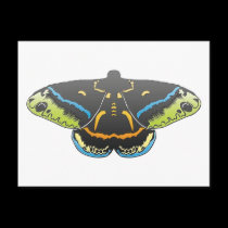 fat butterfly postcards