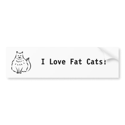 Fat Cat Love