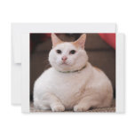 Fat Cat Invitations