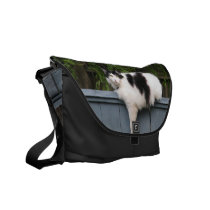 Fat Cat Messenger Bag