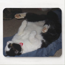 Fat Cat Mousepad