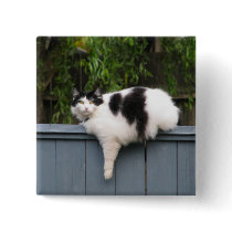 Fat Cat On Fence Pinback Buttons