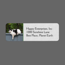 Fat Cat On Fence labels