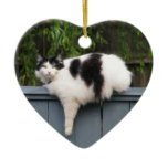 Fat Cat On Fence ornaments