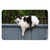 Fat Cat On Fence Rectangle Magnets