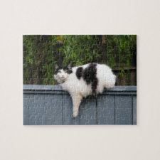 Fat Cat On Fence puzzle