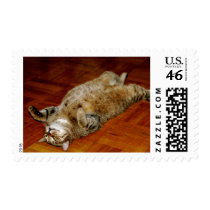 FAT CAT POSTAGE