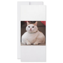 Fat Cat Rack Card Design