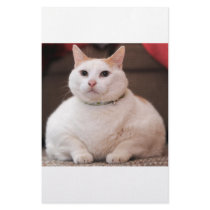 Fat Cat stationery by oddbob Fat Cat stationery