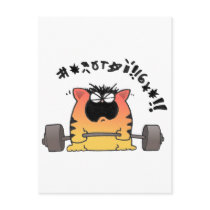 Fat Cat Weight Lift postcards