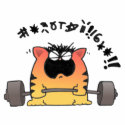 Fat Cat Weight Lift t-shirts