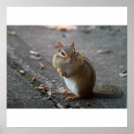 Fat Cheeks Poster posters
