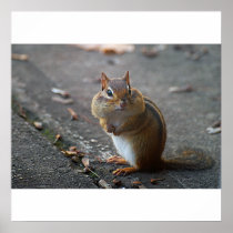 Fat Cheeks Poster