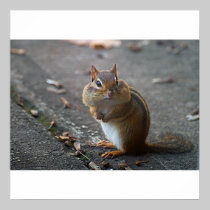 Fat Cheeks Poster posters