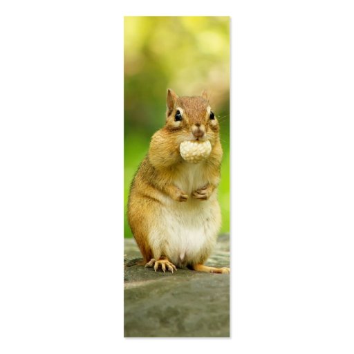 Fat Chipmunk with Treat Business Card Templates (front side)