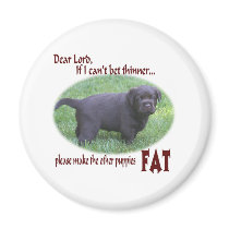 Fat Chocolate Lab Puppy Humor magnets by jackiebrn Fat Chocolate Lab Puppy Humor magnets