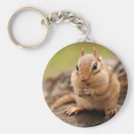 Fat & Happy Chipmunk Key Chains