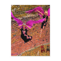 Fat ladies like to fly too postcards
