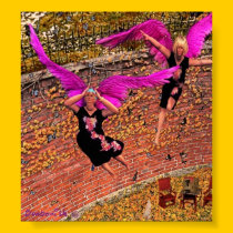 Fat ladies like to fly too posters