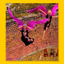 Fat ladies like to fly too posters