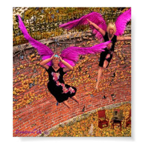 Fat ladies like to fly too posters