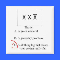 Fat Math magnets
