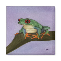 Fat Red Eyed Tree Frog Magnet