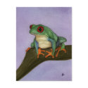 Fat Red Eyed Tree Frog Postcard by Stuwahacreations Fat Red Eyed Tree Frog Postcard