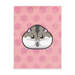 Fat Russian Dwarf Hamster Postcard