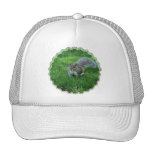 Fat Squirrel  Baseball Hat