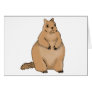 fat squirrel card