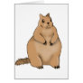 fat squirrel cards