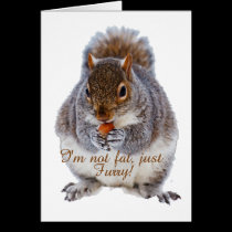 Fat Squirrel cards