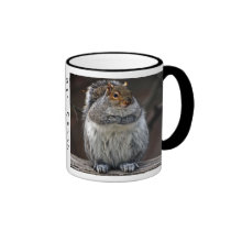 Fat Squirrel "Got Nuts?" Mug mugs