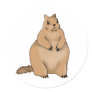 fat squirrel round sticker