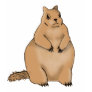 fat squirrel t shirt