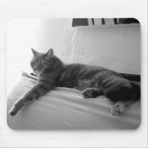 Fat Tabby Cat Mousepad