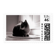 Fat Tabby Cat Postage Stamp