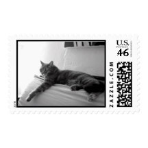 Fat Tabby Cat Postage Stamps