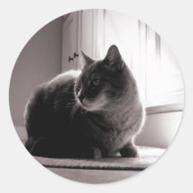 Fat Tabby Cat Round Sticker